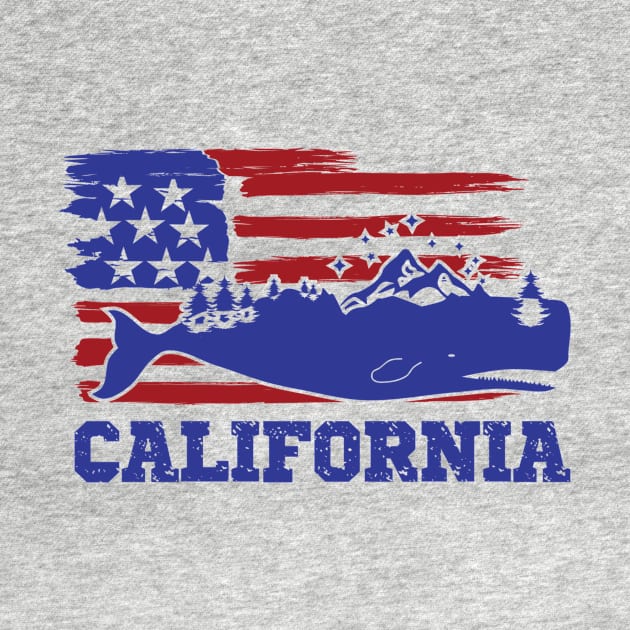 California State by Saldi